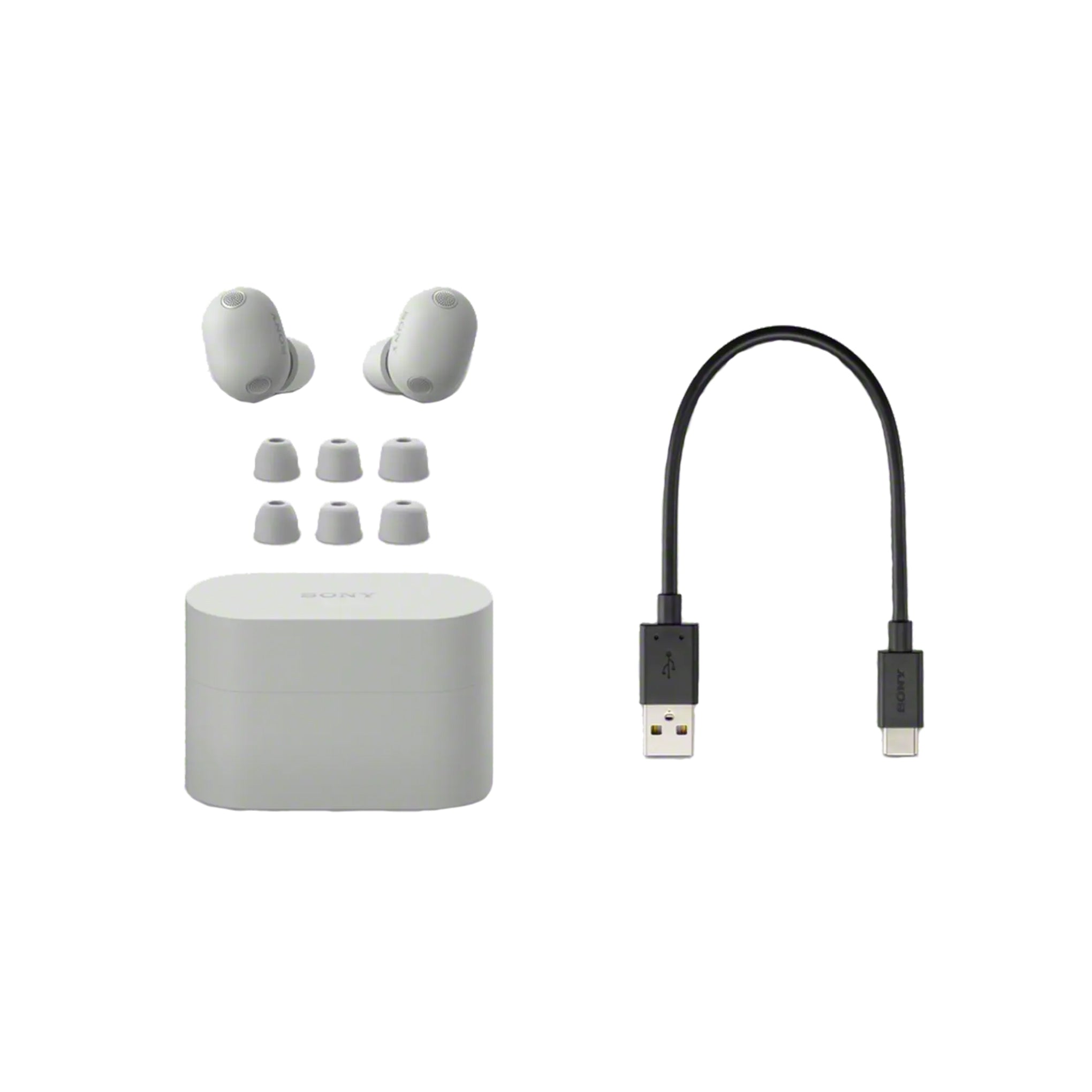 Sony WF-1000XM6 | In-ear headphones - Up to 24 hours of battery life - Platinum Silver-Audio Video Centrale